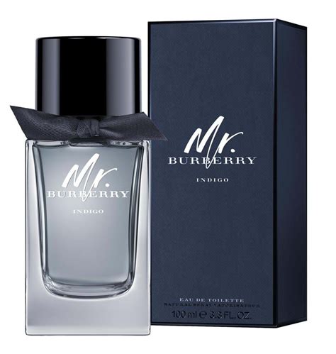 mr burberry for men eau de toilette 100ml|mr burberry indigo fragrantica.